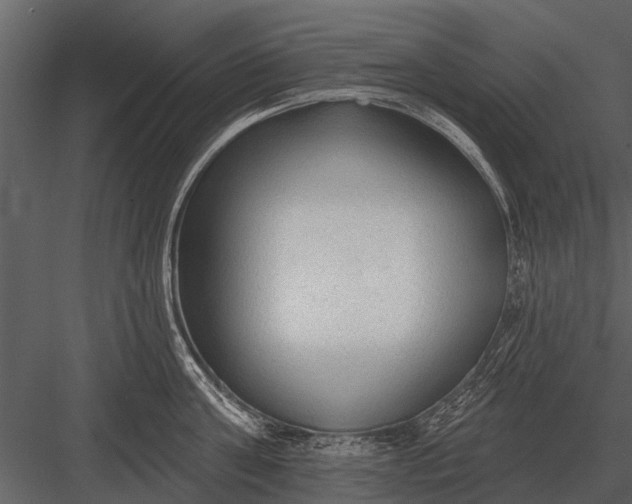X0000083550811200702240109