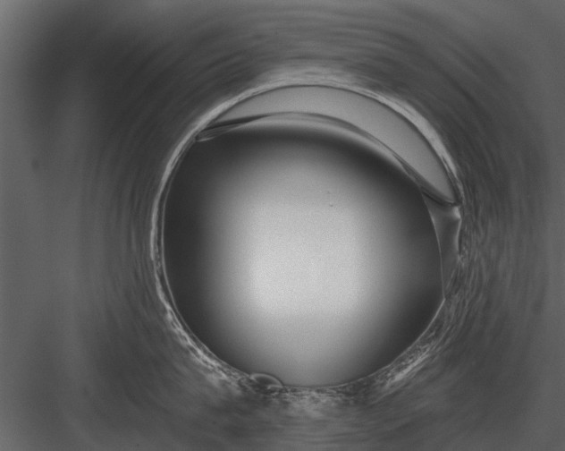 X0000083550815200702240109