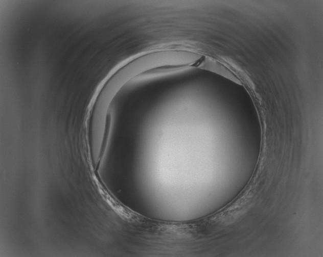 X0000083550816200702240109