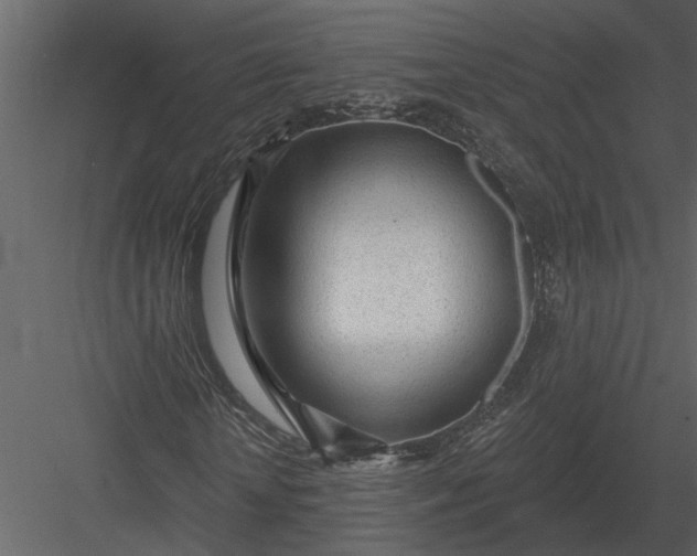 X0000083550818200702240109