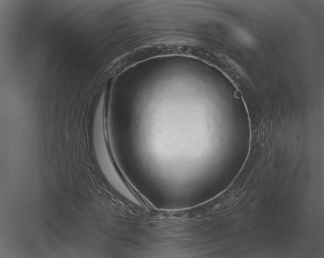 X0000083550821200702240109