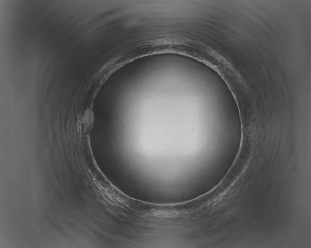 X0000083550825200702240109