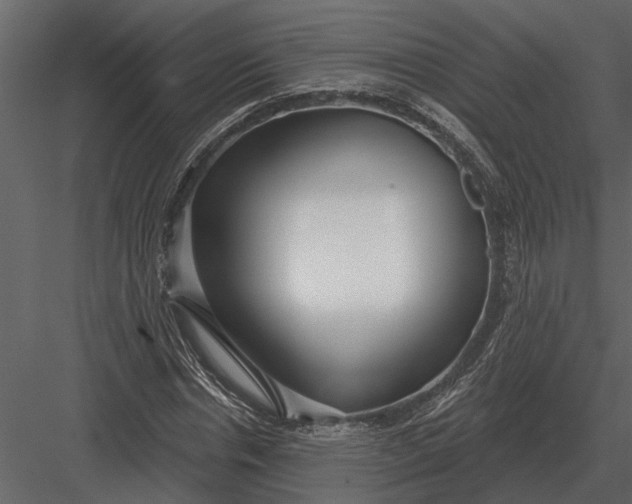 X0000083550826200702240109