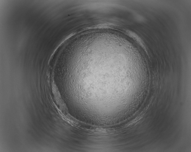 X0000083550827200702240109