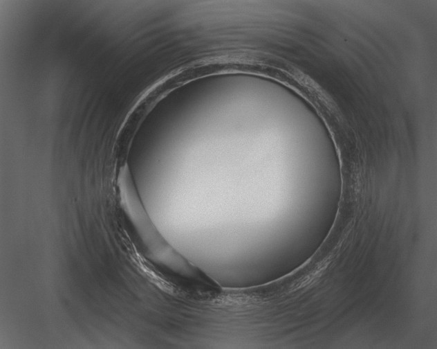 X0000083550830200702240109