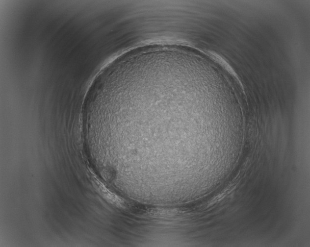 X0000083550831200702240109