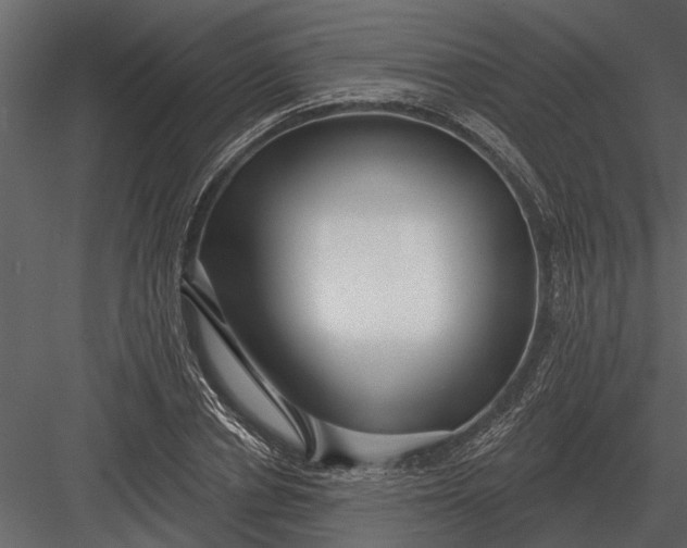 X0000083550834200702240109