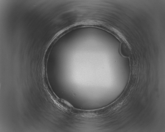 X0000083550837200702240109