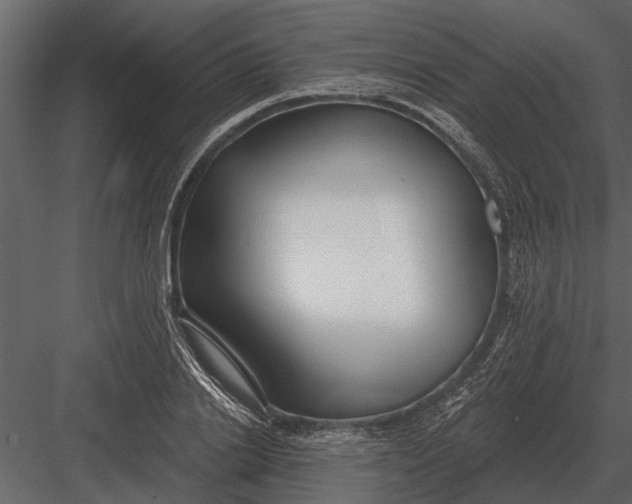 X0000083550838200702240109