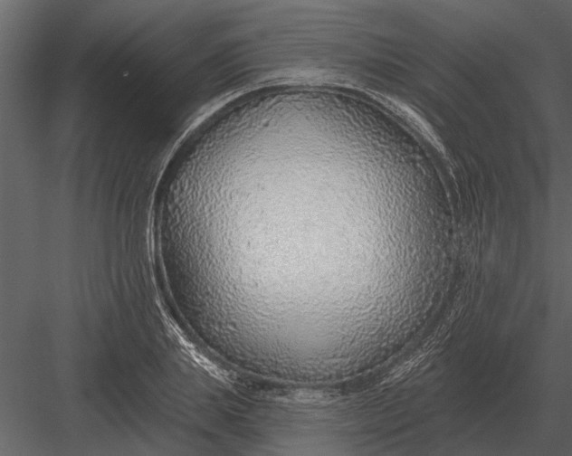 X0000083550839200702240109