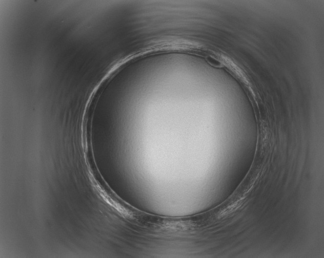 X0000083550843200702240109