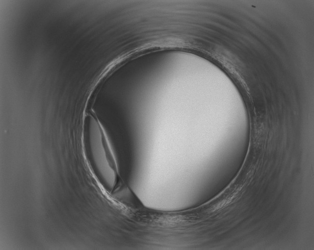 X0000083550845200702240109
