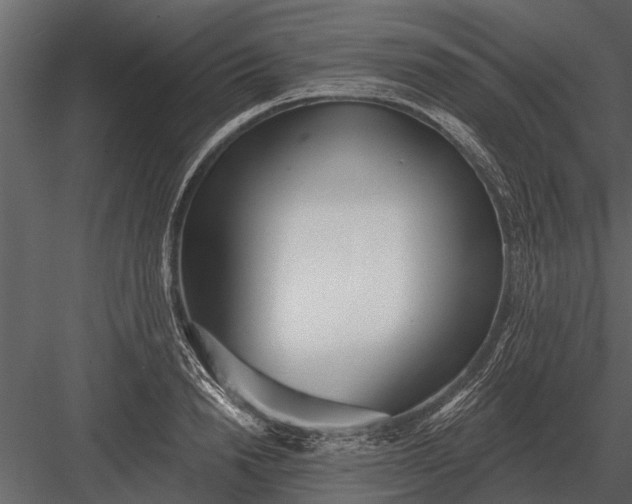 X0000083550846200702240109