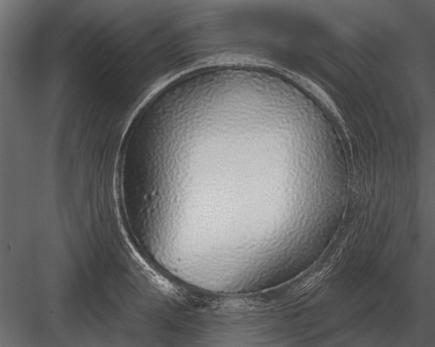 X0000083550847200702240109
