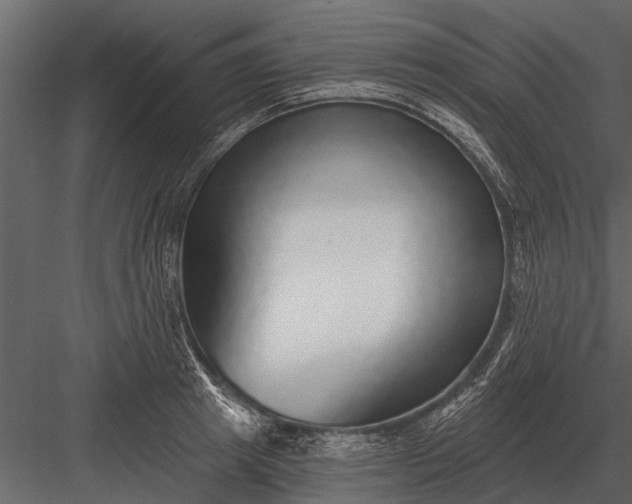 X0000083550849200702240109