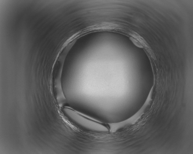 X0000083550850200702240109