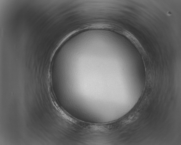 X0000083550852200702240109