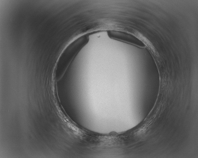 X0000083550854200702240109