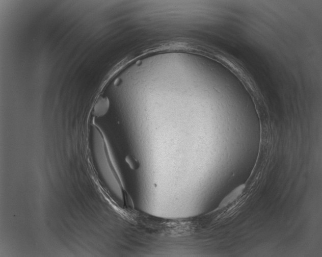 X0000083550858200702240109