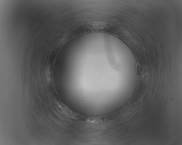 X0000083550866200702240108