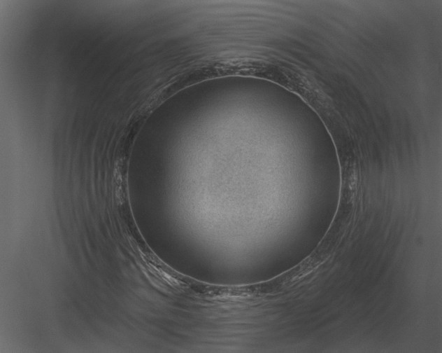 X0000083550868200702240108