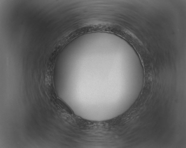 X0000083550869200702240108