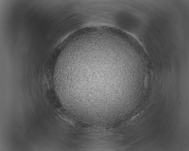 X0000083550871200702240108