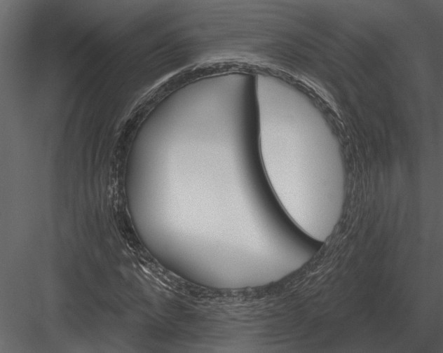 X0000083550872200702240108