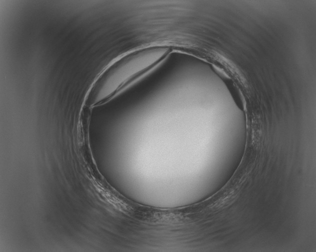 X0000083550876200702240108