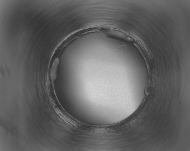 X0000083550880200702240108