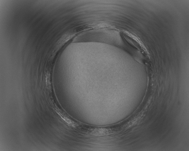 X0000083550881200702240108