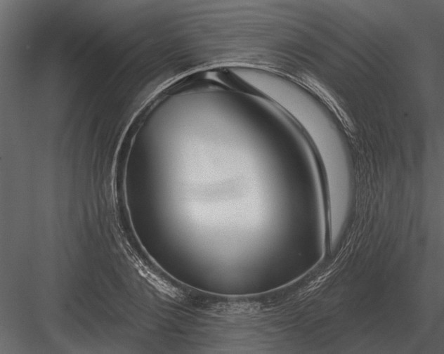 X0000083550884200702240108
