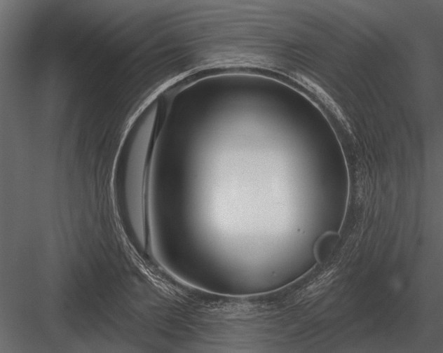 X0000083550885200702240108