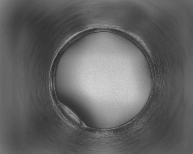 X0000083550887200702240108