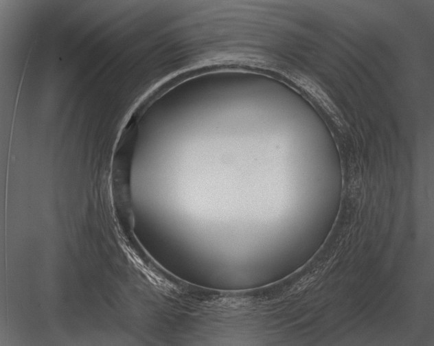 X0000083550888200702240108