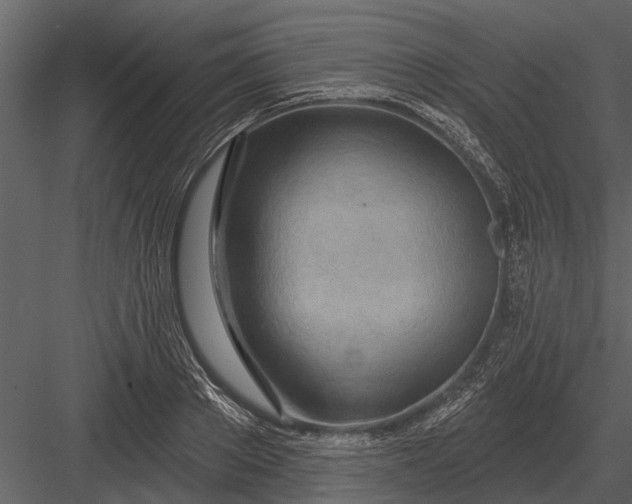 X0000083550889200702240108