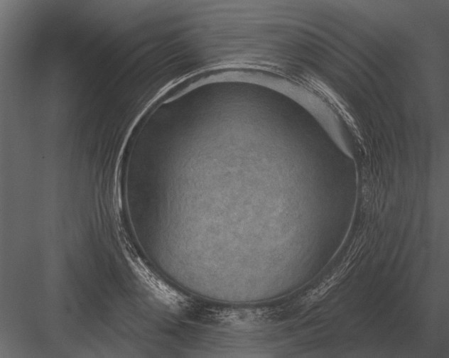 X0000083550892200702240108