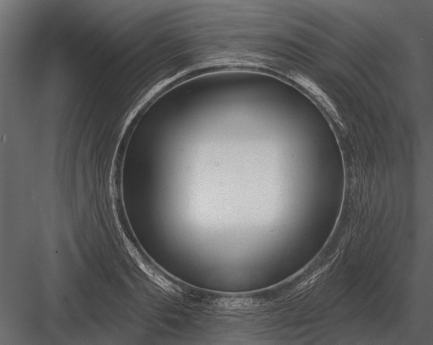 X0000083550893200702240108