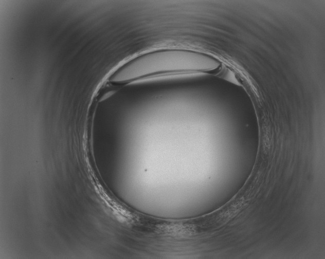 X0000083550896200702240108