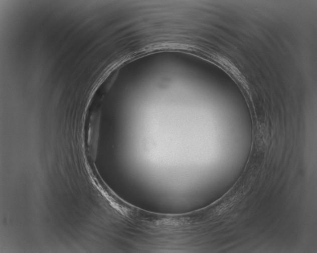 X0000083550898200702240108