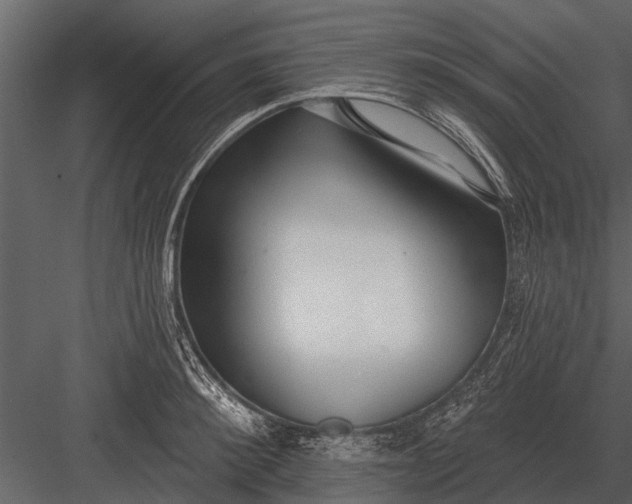 X0000083550900200702240108