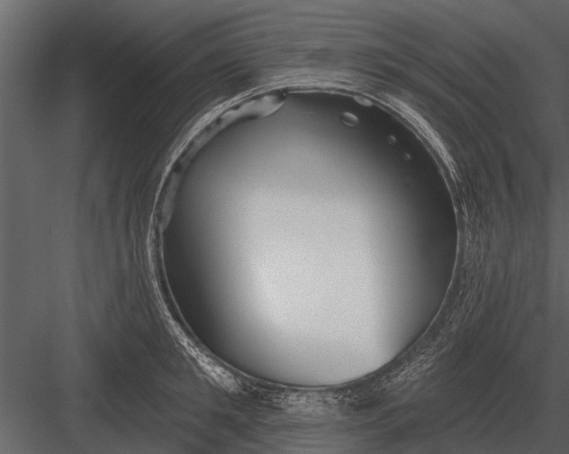 X0000083550901200702240108