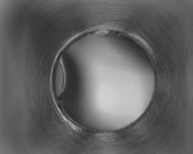 X0000083550902200702240108