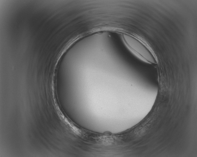 X0000083550906200702240108