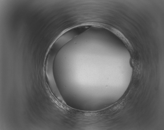 X0000083550908200702240108