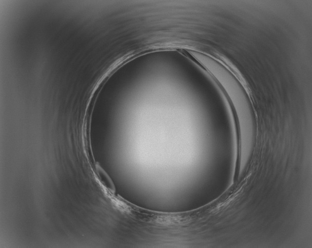 X0000083550909200702240108
