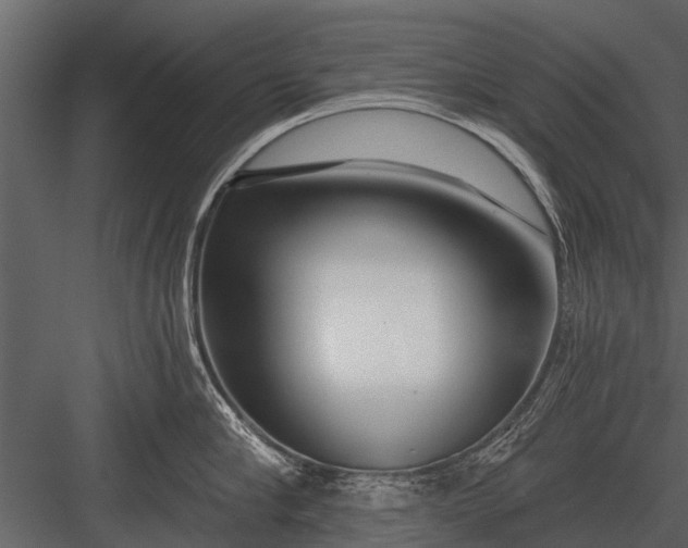 X0000083550910200702240108