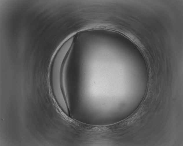X0000083550912200702240108
