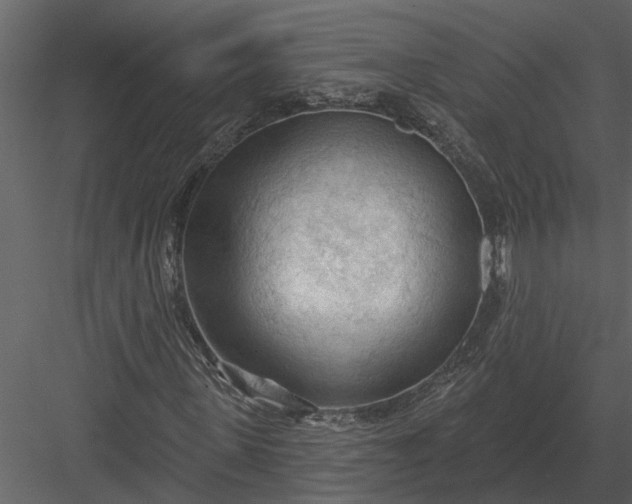 X0000083550915200702240107