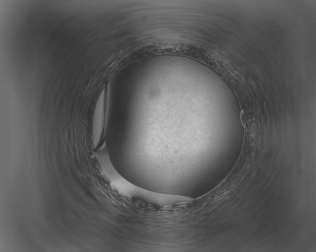 X0000083550916200702240107